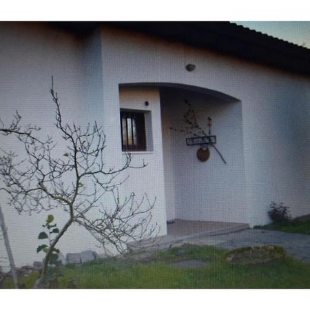 Appartamento In Villa Con Giardino A 300M Dal Lago Maggiore 卡斯特尔图-苏帕提茨诺 外观 照片